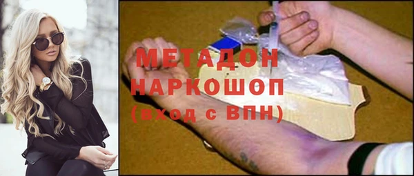 стаф Алзамай