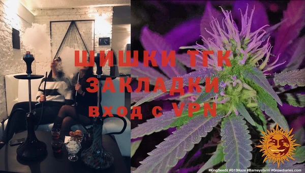 стаф Алзамай