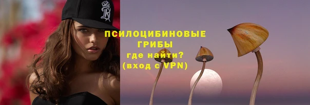 стаф Алзамай