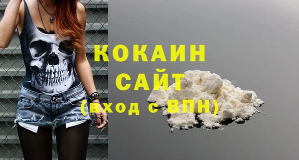 стаф Алзамай