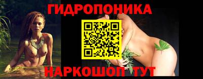 ALPHA-PVP Камышлов