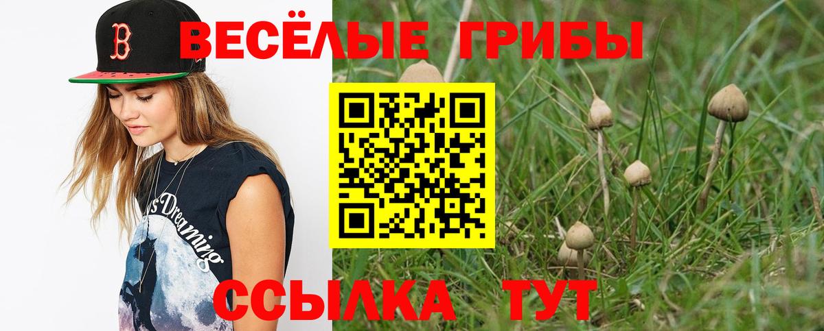 Галлюциногенные грибы Psilocybine cubensis  Вход с VPN  Кудрово  Псилоцибиновые грибы Psilocybine cubensis 